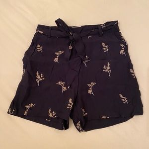 Silk Minimum Dress Shorts